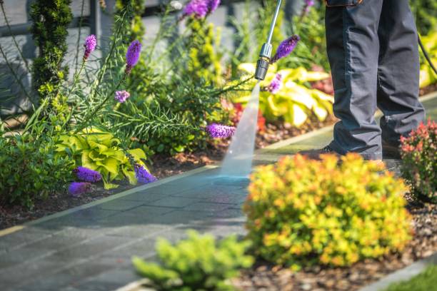 Best Driveway Pressure Washing  in Braska City, NE